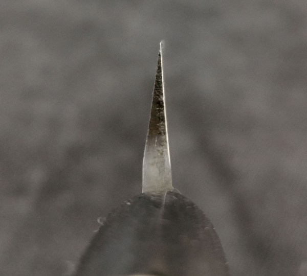 Tojiro Aogami Slanted Pro Yanagi-Sashimi 240mm