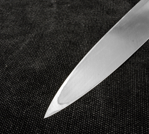 Tojiro Aogami Slanted Pro Yanagi-Sashimi 270mm